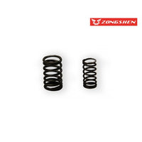 6. RESSORTS SOUPAPE FIDDY 125/110 (LOT DE 2)