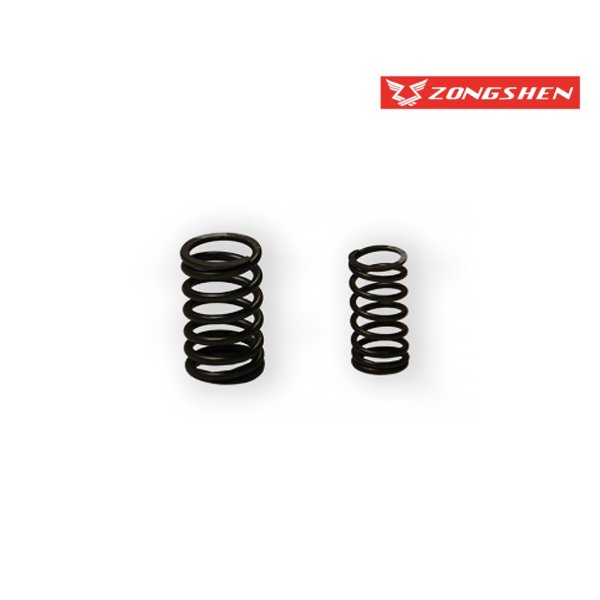 6. RESSORTS SOUPAPE FIDDY 125/110 (LOT DE 2)