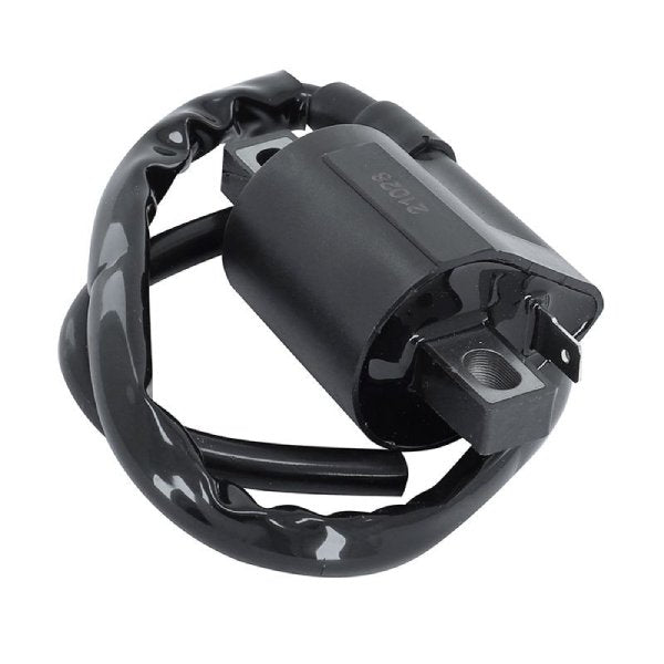 BOBINE ALLUMAGE ANIMA